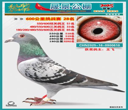 �ɾ�����(zh��n)ِ28��