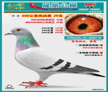 �ɾ�����(zh��n)ِ29��