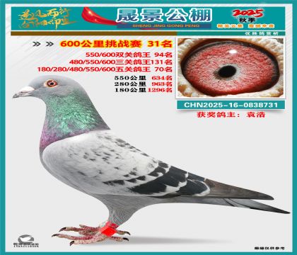 �ɾ�����(zh��n)ِ31��