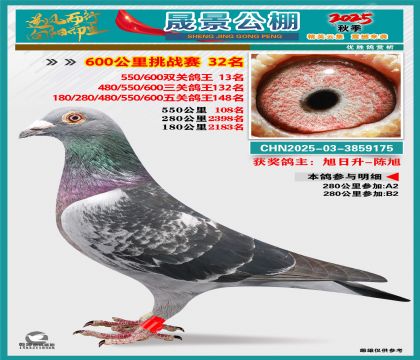 �ɾ�����(zh��n)ِ32��(�����p�P(gu��n)13��)