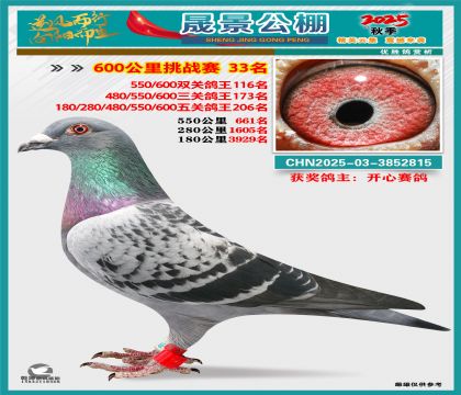 �ɾ�����(zh��n)ِ33��