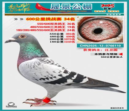 �ɾ�����(zh��n)ِ34��(�����p�P(gu��n)36�����P(gu��n)19�����P(gu��n)24��)