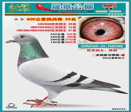 �ɾ�����(zh��n)ِ35��