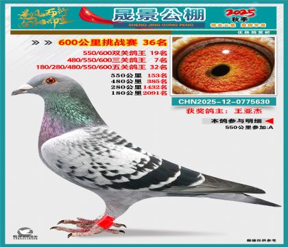 �ɾ�����(zh��n)ِ36��(�����p�P(gu��n)19�����P(gu��n)7�����P(gu��n)32��)