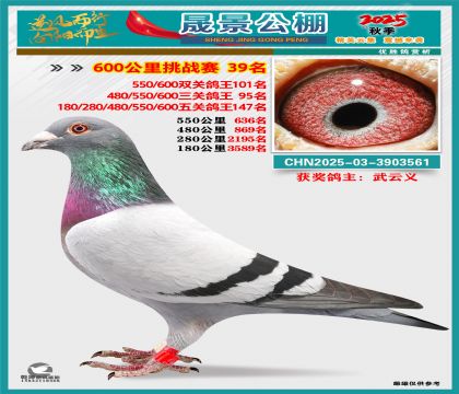 �ɾ�����(zh��n)ِ39��