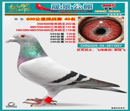 �ɾ�����(zh��n)ِ40��