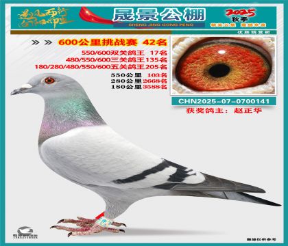 �ɾ�����(zh��n)ِ42��