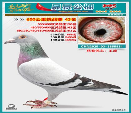 �ɾ�����(zh��n)ِ43��