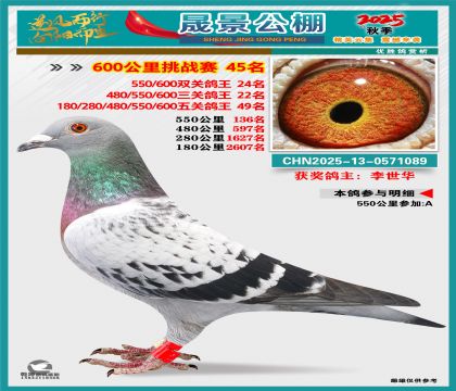 �ɾ�����(zh��n)ِ45��(�����p�P(gu��n)24�����P(gu��n)22�����P(gu��n)49��)