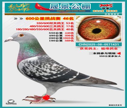 �ɾ�����(zh��n)ِ46��