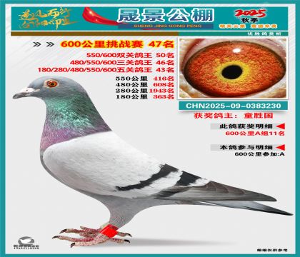 �ɾ�����(zh��n)ِ47��