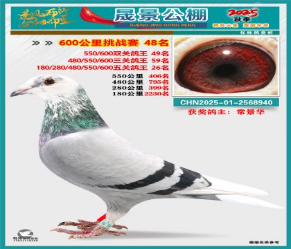 �ɾ�����(zh��n)ِ48��