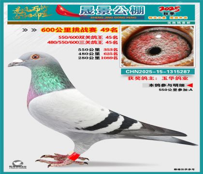 �ɾ�����(zh��n)ِ49��