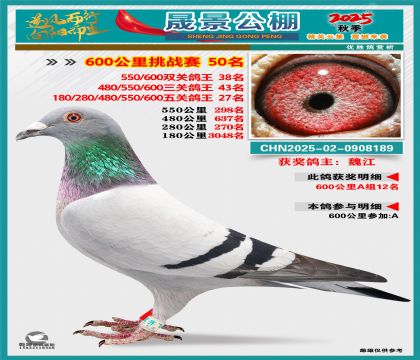 �ɾ�����(zh��n)ِ50��