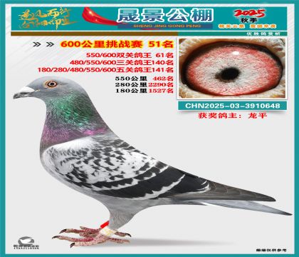 �ɾ�����(zh��n)ِ51��