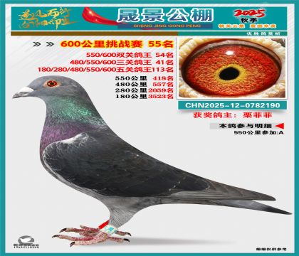 �ɾ�����(zh��n)ِ55��