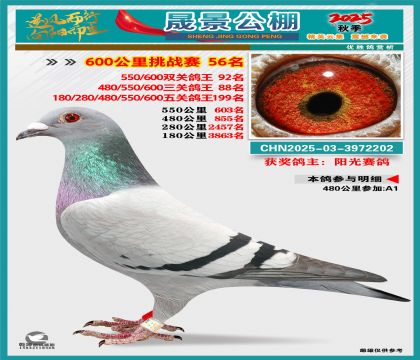 �ɾ�����(zh��n)ِ56��