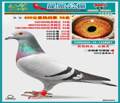 �ɾ�����(zh��n)ِ58��