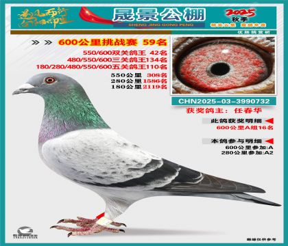 �ɾ�����(zh��n)ِ59��