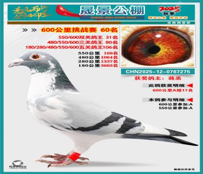 �ɾ�����(zh��n)ِ60��