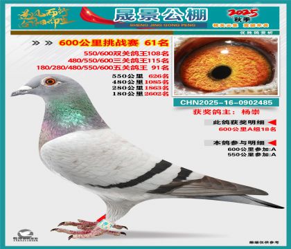 �ɾ�����(zh��n)ِ61��