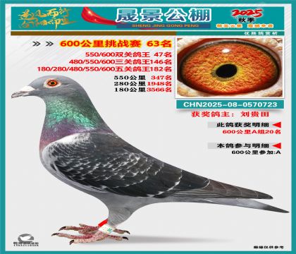 �ɾ�����(zh��n)ِ63��