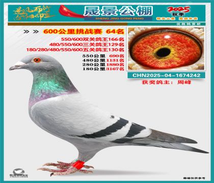 �ɾ�����(zh��n)ِ64��