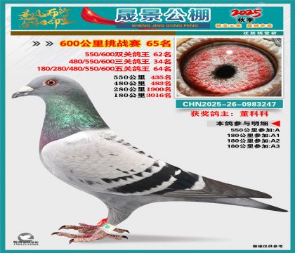 �ɾ�����(zh��n)ِ65��