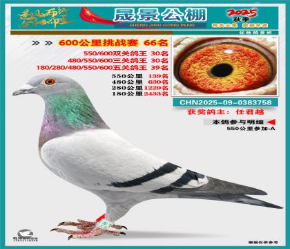 �ɾ�����(zh��n)ِ66��