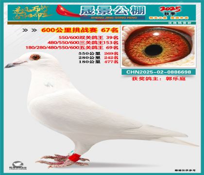 �ɾ�����(zh��n)ِ67��