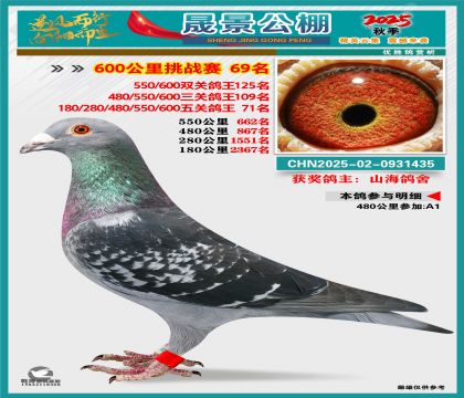 �ɾ�����(zh��n)ِ69��