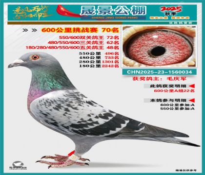 �ɾ�����(zh��n)ِ70��