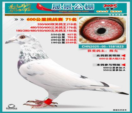 �ɾ�����(zh��n)ِ71��