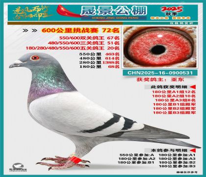 �ɾ�����(zh��n)ِ72��