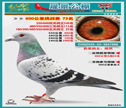 �ɾ�����(zh��n)ِ73��