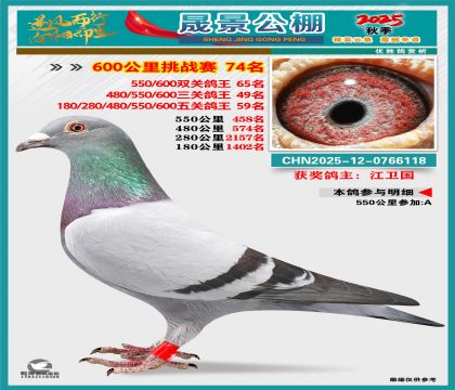 �ɾ�����(zh��n)ِ74��