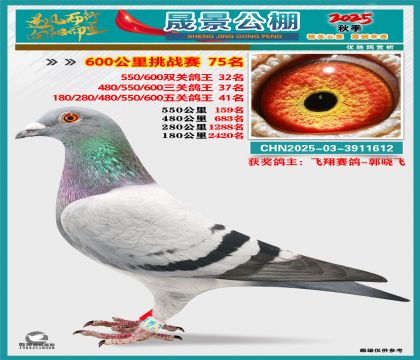 �ɾ�����(zh��n)ِ75��