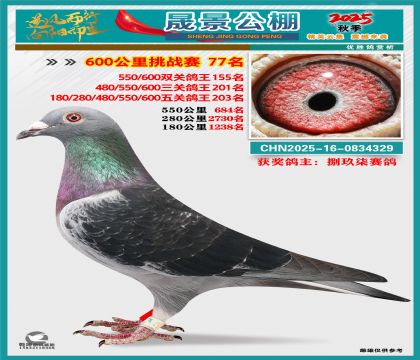 �ɾ�����(zh��n)ِ77��