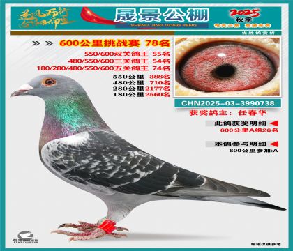 �ɾ�����(zh��n)ِ78��