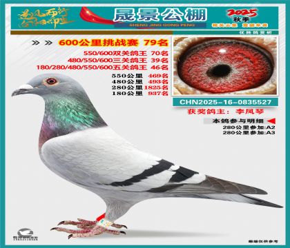 �ɾ�����(zh��n)ِ79��