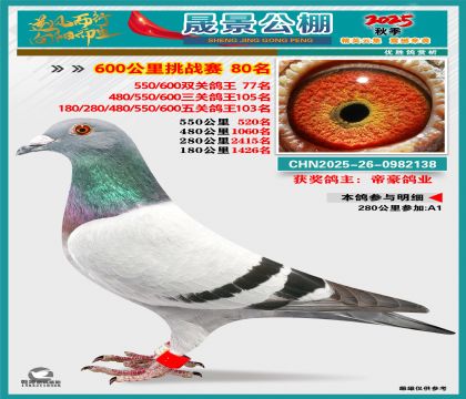 �ɾ�����(zh��n)ِ80��