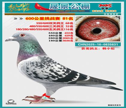 �ɾ�����(zh��n)ِ81��