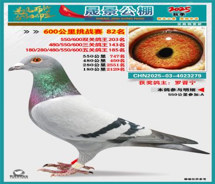 �ɾ�����(zh��n)ِ82��