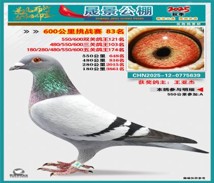 �ɾ�����(zh��n)ِ83��