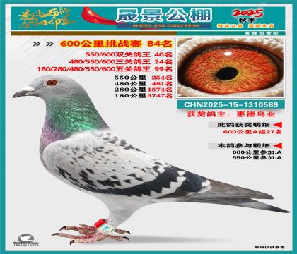 �ɾ�����(zh��n)ِ84��