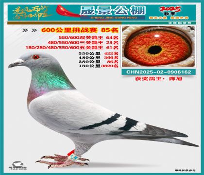 �ɾ�����(zh��n)ِ85��