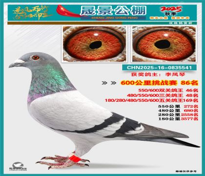 �ɾ�����(zh��n)ِ86��