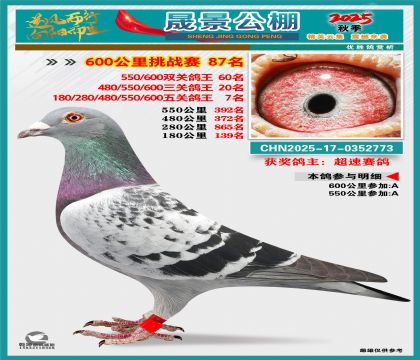 �ɾ�����(zh��n)ِ87��