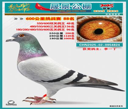 �ɾ�����(zh��n)ِ88��