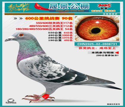 �ɾ�����(zh��n)ِ90��